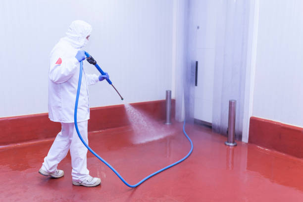 Best Paint Preparation  in Narrows, VA