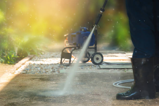 Best Graffiti Removal  in Narrows, VA